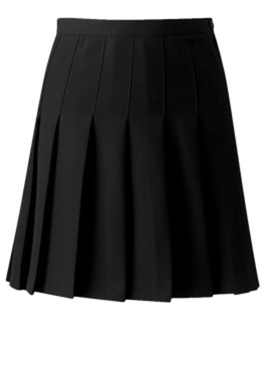 Designer pleated skirt